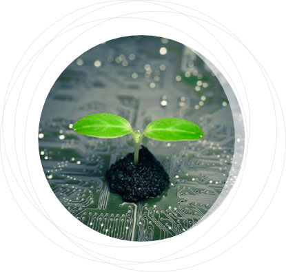 photo plante recherche