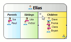Obeo Designer collapse resize